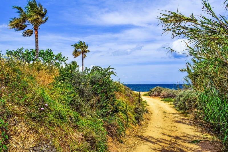 Coastal Trail